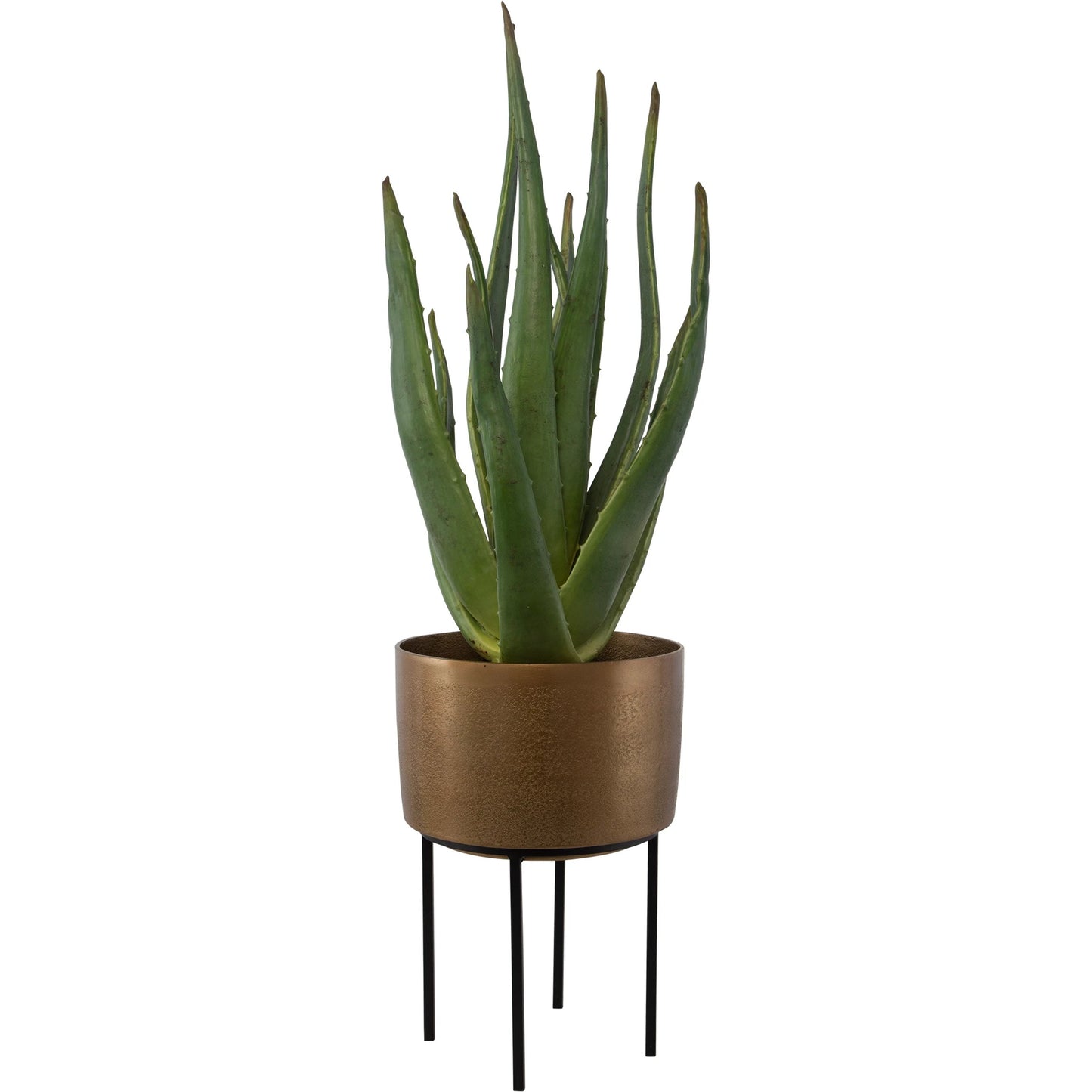 002 SI-2146909 | Primary Silo | Arabia Aloe Planter by Uttermost in brass. Made from foam, aluminum, cement, iron in a modern style.