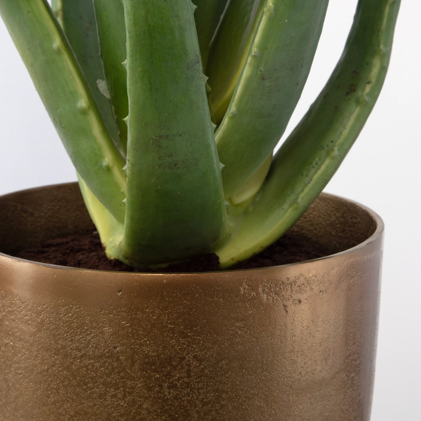 003 SI-2146909 | Closeup | Arabia Aloe Planter by Uttermost in brass. Made from foam, aluminum, cement, iron in a modern style.