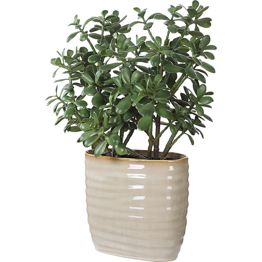 Crassula Jade Accent Plant by Uttermost in tan. Made from polyester, plastic, polyfoam, ceramic in a transitional style.