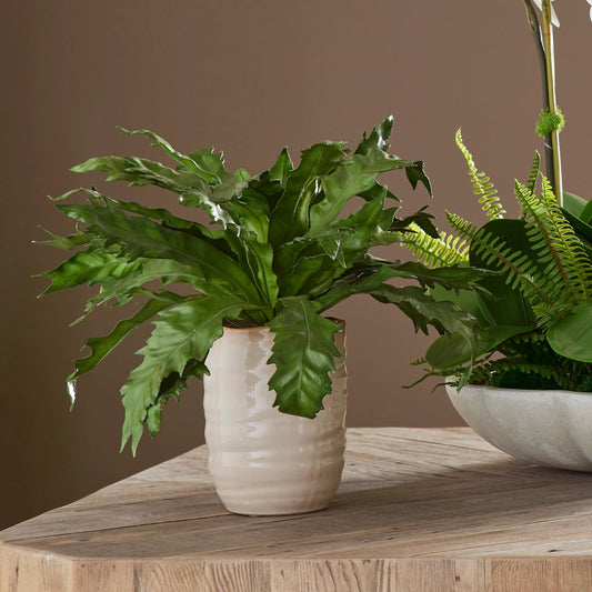 Verdure Fern in Glazed Pot by Uttermost in tan. Made from polyester, plastic, polyfoam, ceramic in a transitional style.