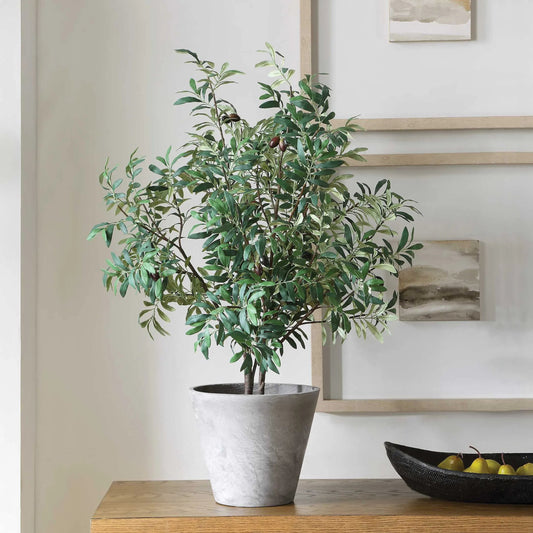 Marisol Potted Olive Plant by Uttermost in gray, green. Made from polyester, plastic, polyfoam, clay in a unique style.