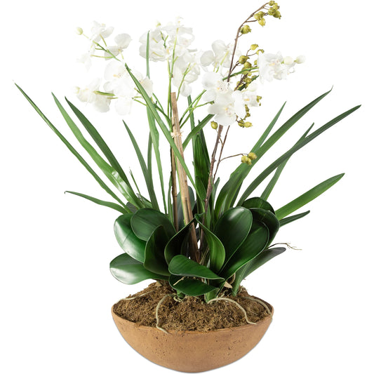 Moth Orchid Planter by Uttermost. Made from polyester, plastic in a cottage & farmhouse style.