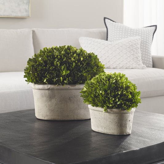Oval Domes Preserved Boxwood (Set of 2) by Uttermost. Made from boxwood foam, terracotta in a transitional style.