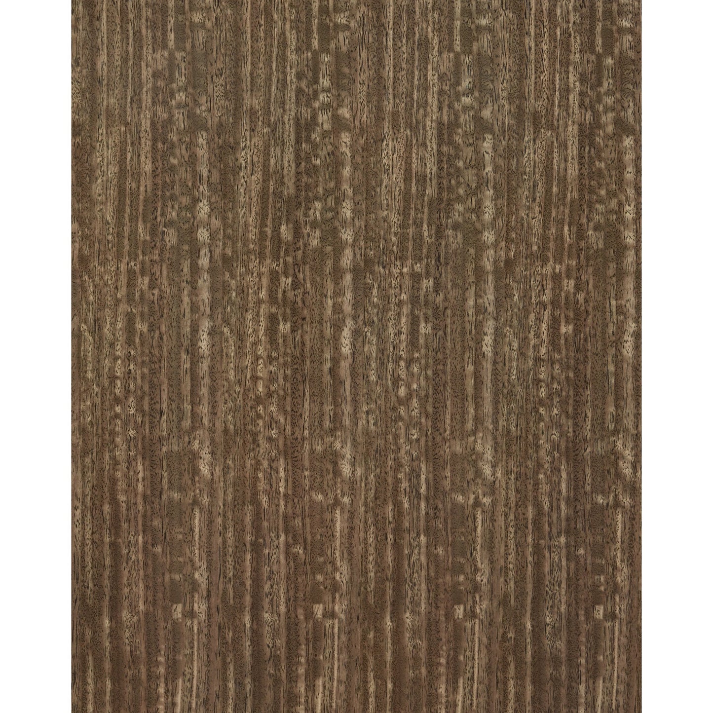 004 SI-2191692 | Additional Silo | Colette Chest by Currey and Company in tawny brown, polished brass, mirror, rose. Made from figured eucalyptus, stainless steel, glass, faux velvet in a modern style.