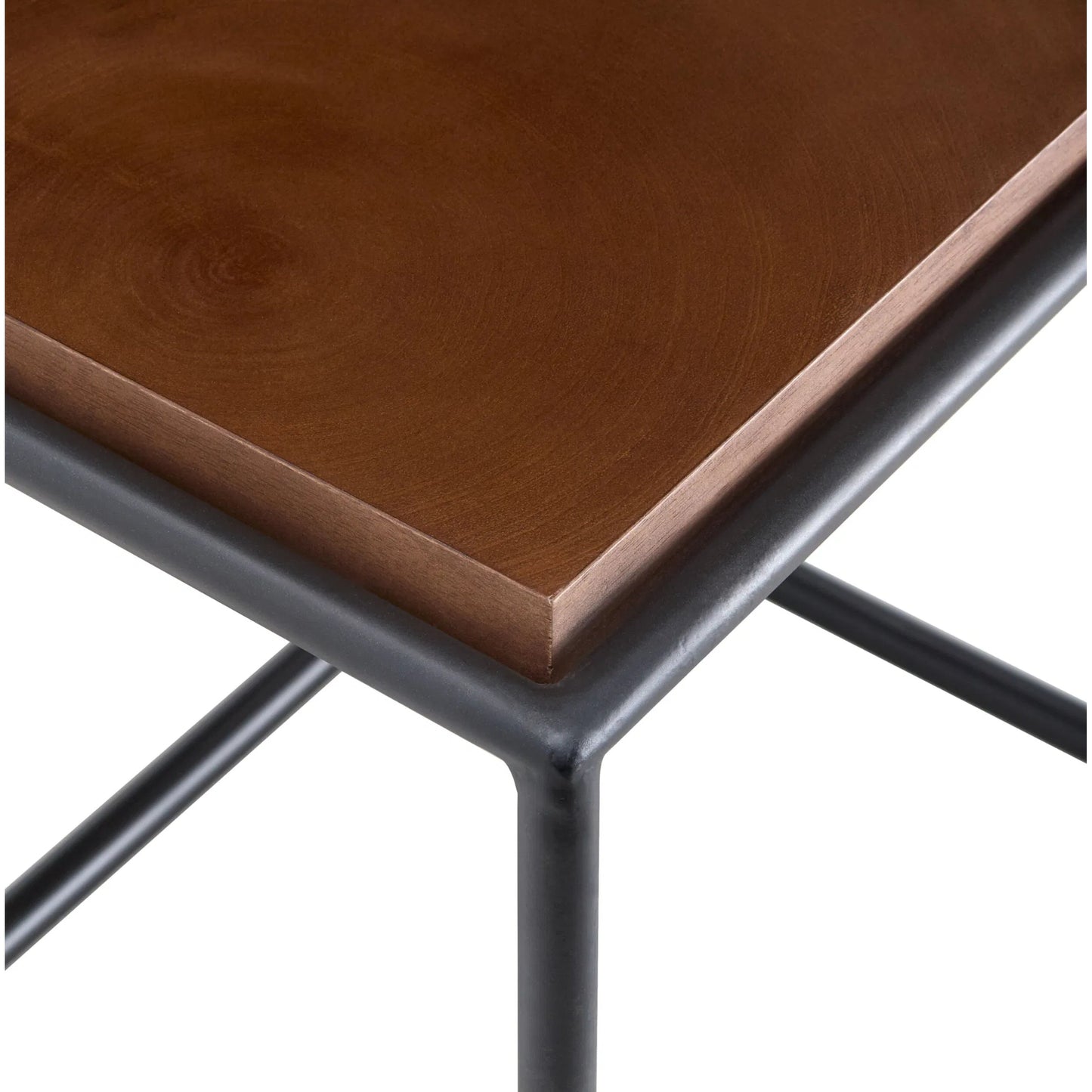 003 SI-2244544 | Closeup | Brax 541186 Furniture by Surya in black, brown. Made from acacia, iron in a unique style.