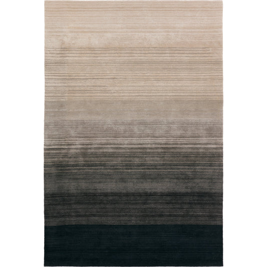 001 SI-2123457,SI-2123458,SI-2123459,SI-2123460 | Primary Silo | Cambrian CMN01 Rug by Jaipur Living in black, gray. Made from 60% wool 40% viscose in a unique style.