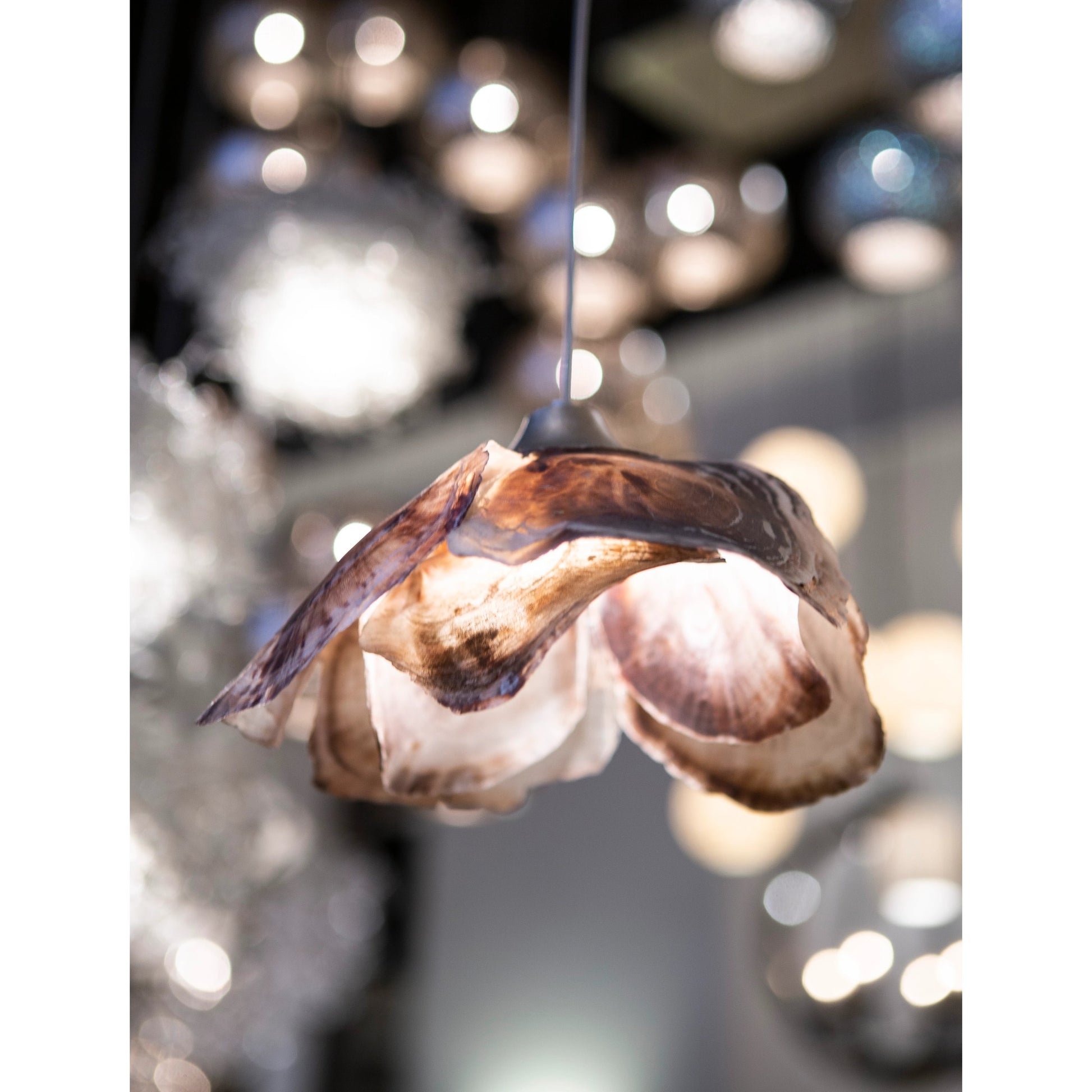 Catrice Pendant by Currey and Company in painted silver, contemporary silver leaf, natural shell. Made from capiz shell, wrought iron in a coastal style.