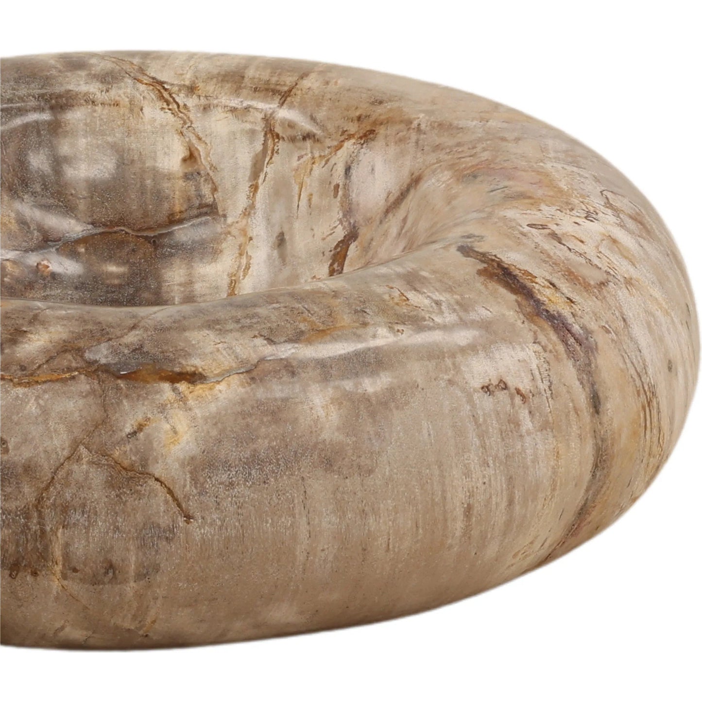 003 SI-2532858 | Closeup | Leanna Tray by Arch & Plane in natural. Made from petrified wood in a unique style.