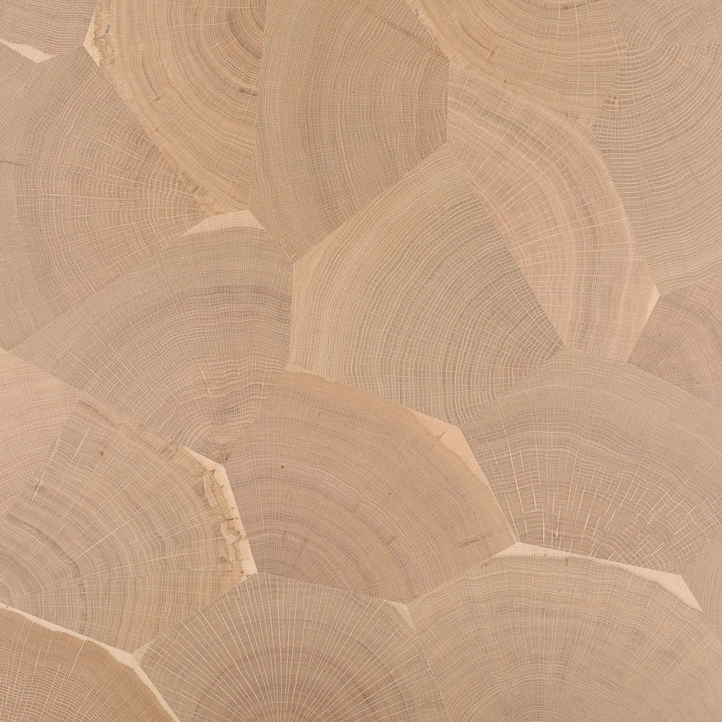 005 SI-2440775 | Closeup | Efrain Dining Table by Arch & Plane in light natural. Made from oak wood, oak crown veneer in a transitional style.