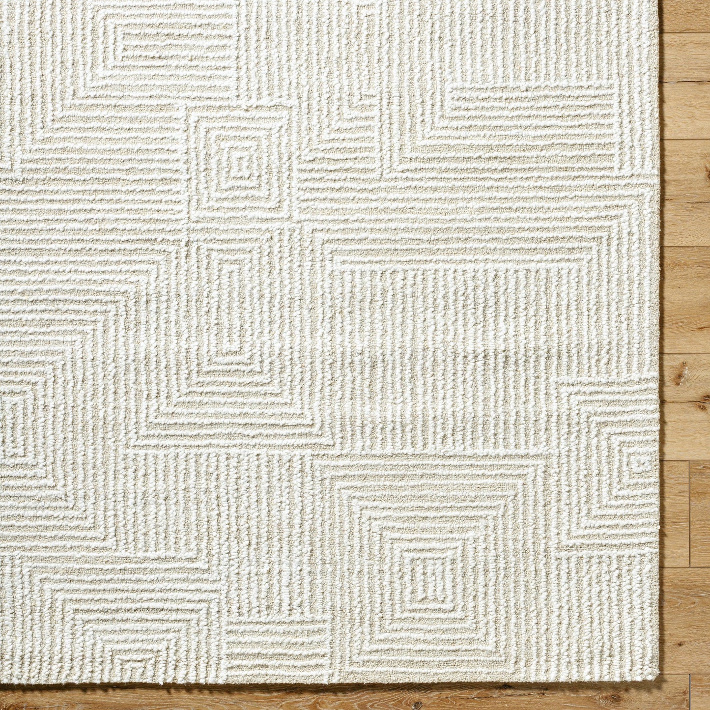 006 SI-2164731,SI-2164732,SI-2164733 | Closeup | Falcao FAC-2304 Rug by Livabliss in ivory, cream, pearl. Made from wool in a unique style.