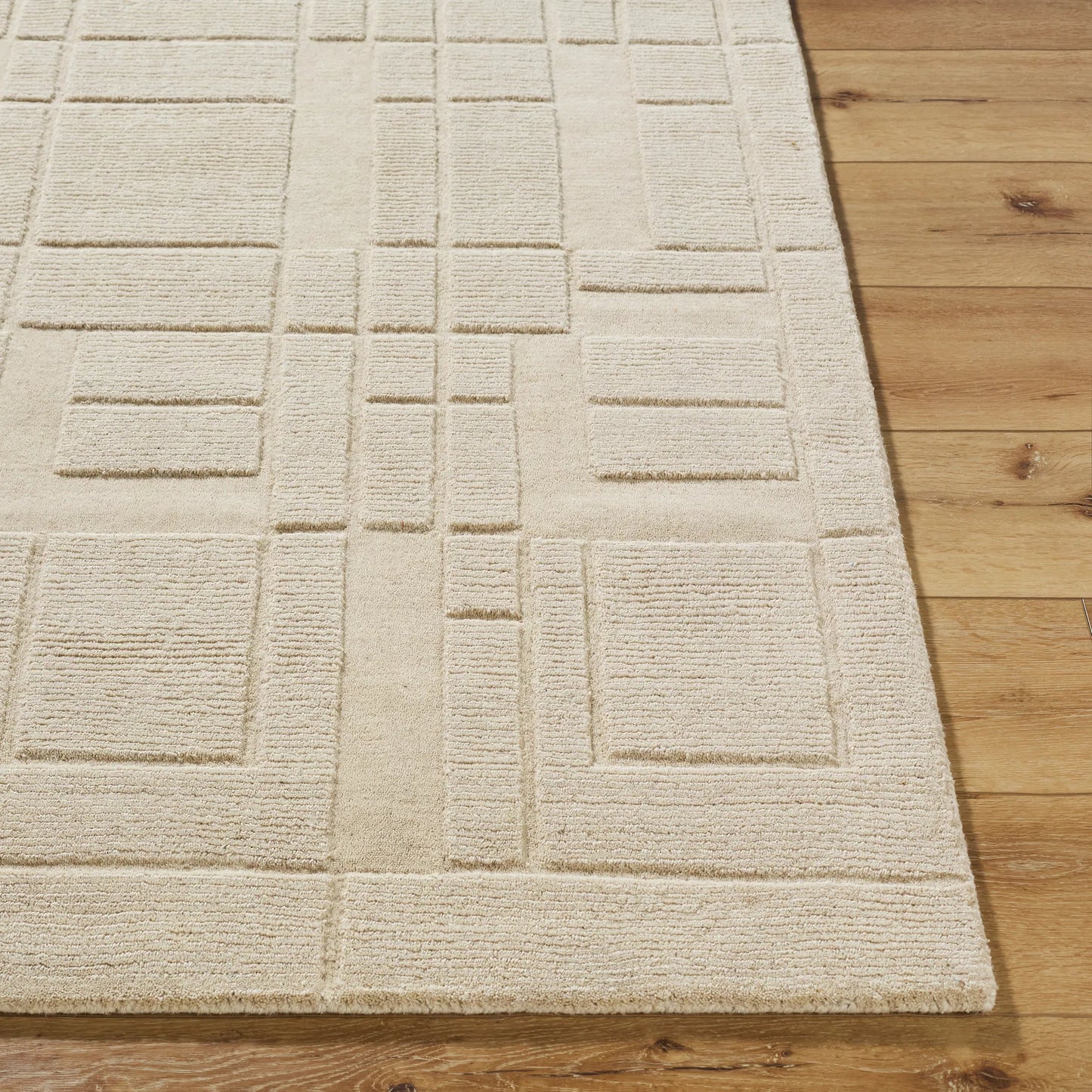 020 SI-2165048,SI-2165049,SI-2165050,SI-2165051 | Closeup | Luxuries Rug - 533225 by Surya. Made from wool in a unique style.