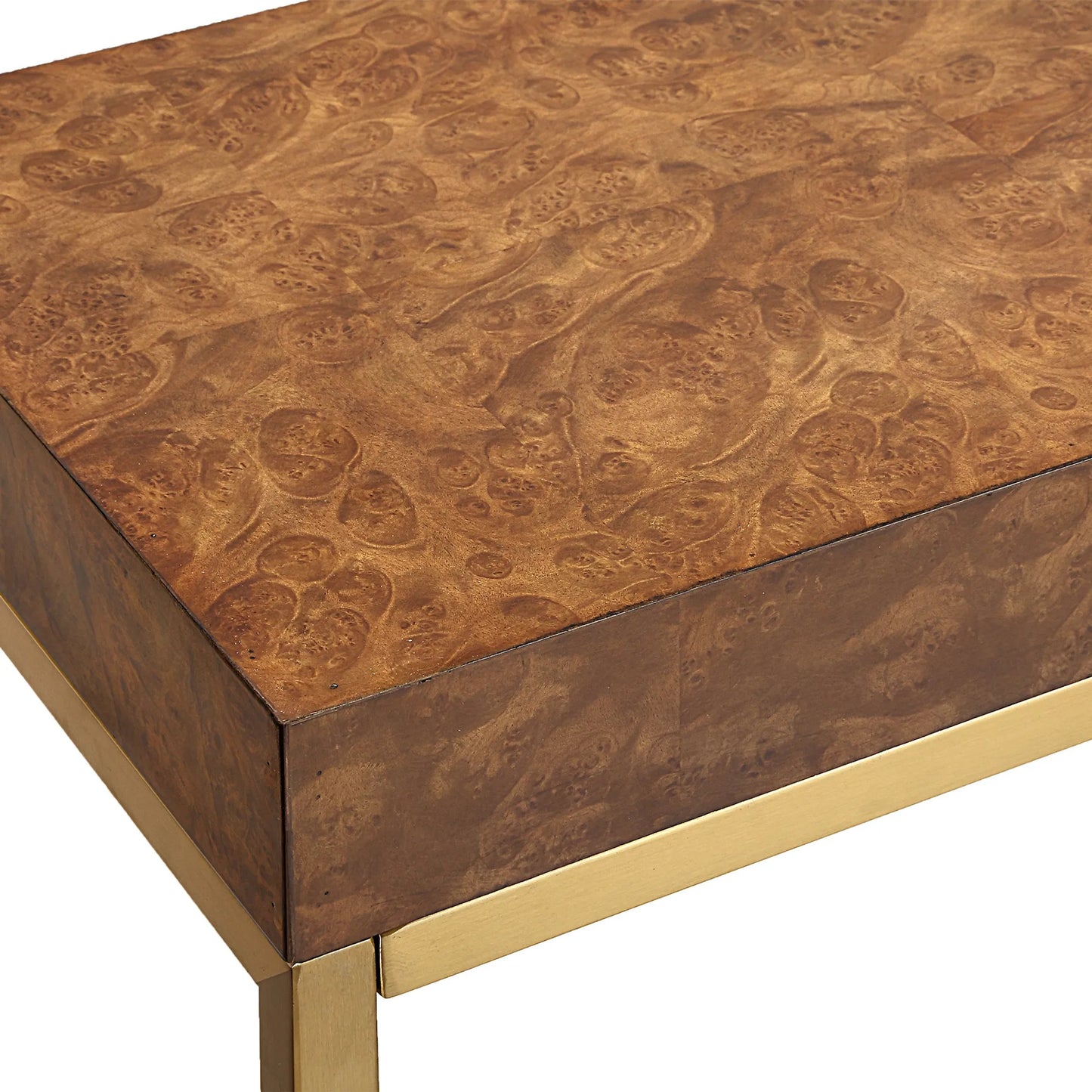 005 SI-2355264 | Lifestyle | Moran Burl Console Table by Uttermost in gold. Made from stainless steel, mdf, burl veneer in a modern style.
