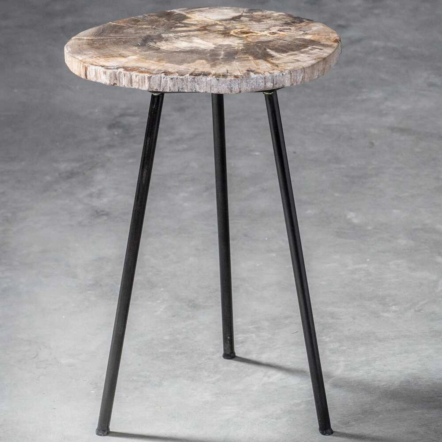 008 SR-801659 | Additional Silo | Mircea Petrified Wood Accent Table by Uttermost in wood. Made from 77% petrified wood, 20% plywood, 3% metal in a modern style.