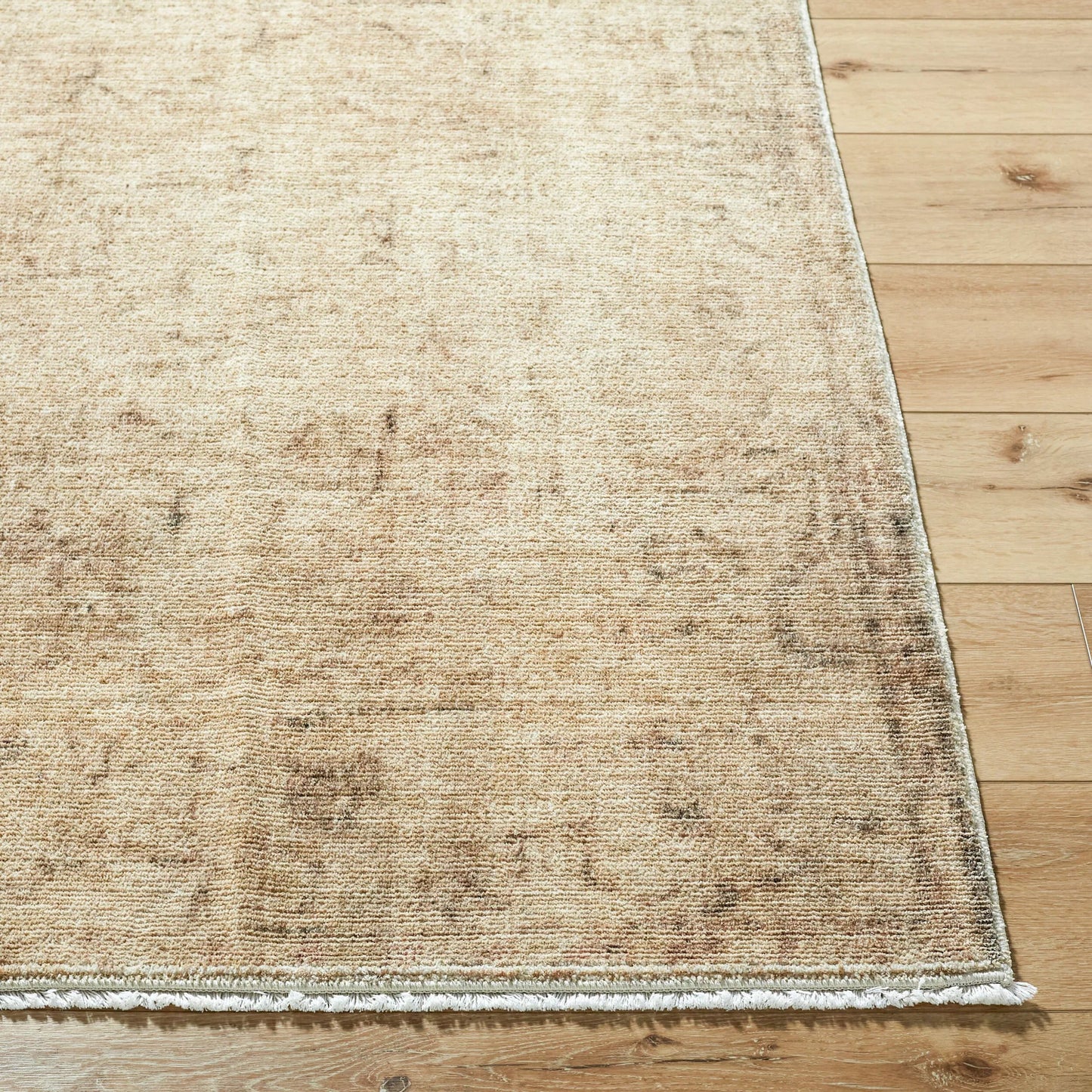004 SI-2349574,SI-2349575,SI-2349576,SI-2349577,SI-2349578 | Closeup | Fetscher GAHU-2300 Rug by Galey Alix x Livabliss in light beige, light brown, olive. Made from polyester in a unique style.