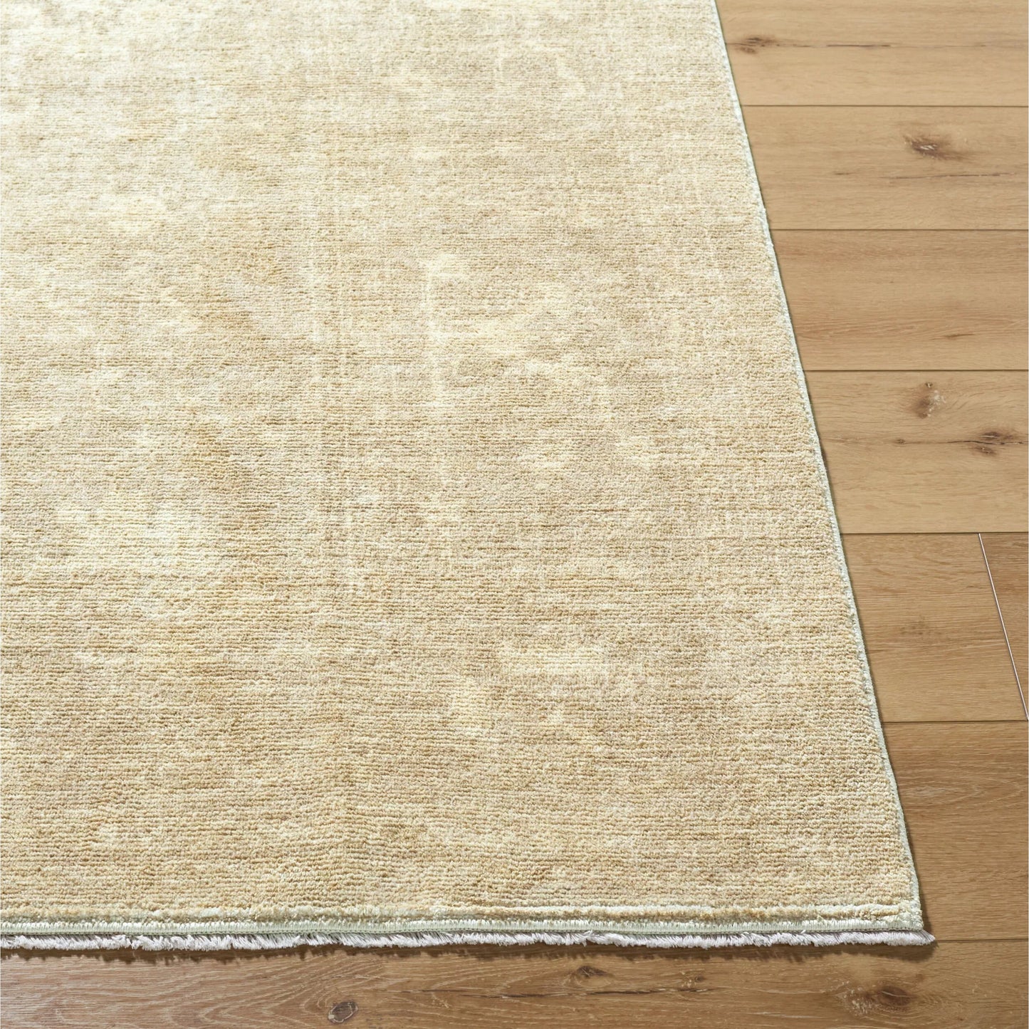 004 SI-2258308,SI-2258309,SI-2258310,SI-2258311,SI-2258312 | Closeup | Fetscher GAHU-2302 Rug by Galey Alix x Livabliss in light brown, ivory, brown. Made from polyester in a unique style.