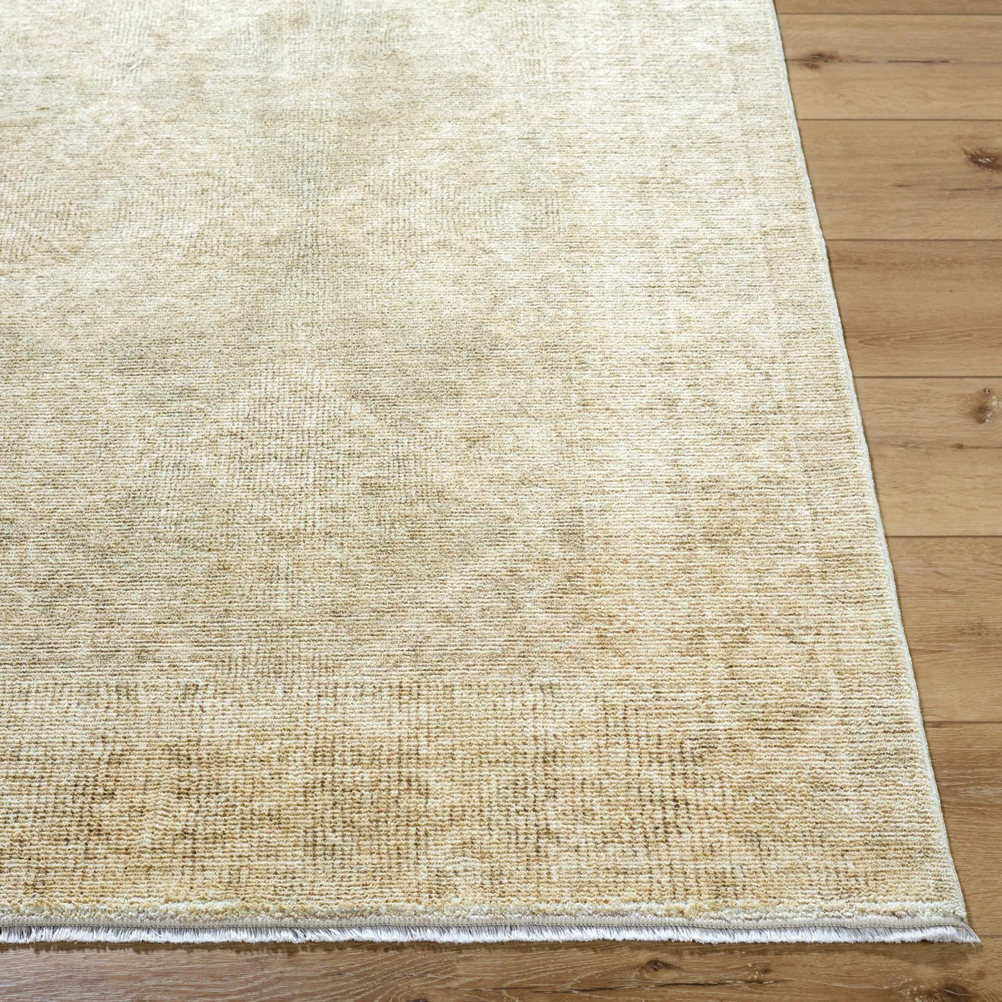 003 SI-2349580,SI-2349581,SI-2349582,SI-2349583,SI-2349584 | Closeup | Fetscher GAHU-2303 Rug by Galey Alix x Livabliss in olive, light beige, light brown. Made from polyester in a unique style.
