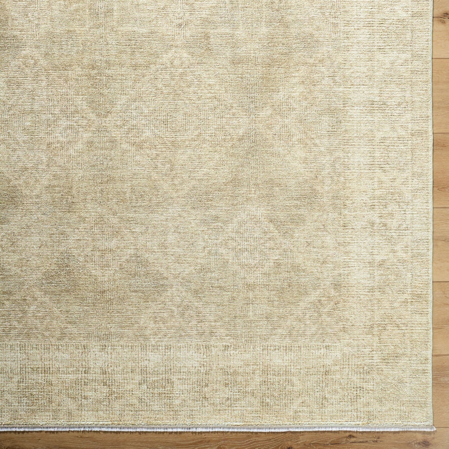 005 SI-2349580,SI-2349581,SI-2349582,SI-2349583,SI-2349584 | Closeup | Fetscher GAHU-2303 Rug by Galey Alix x Livabliss in olive, light beige, light brown. Made from polyester in a unique style.