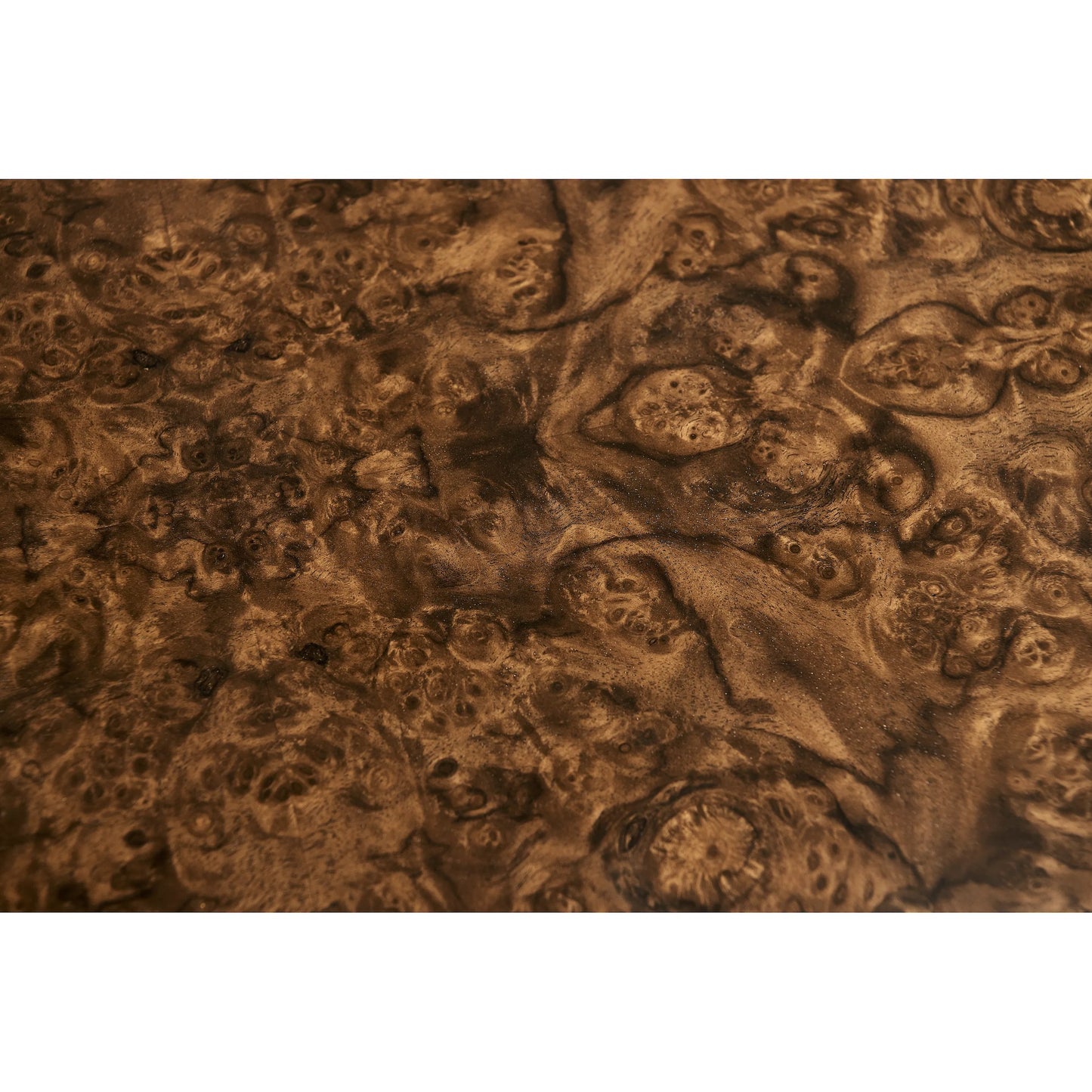 006 SI-2334499 | Closeup | Jacques Radius End Table by Jonathan Charles in brown and walnut burl. Made from book match walnut burl veneer in a unique style.