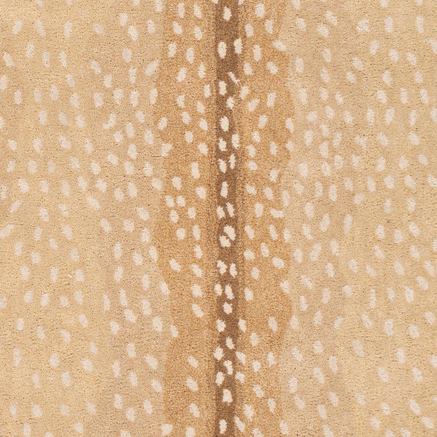 015 SI-1851260,SI-1851261,SR-882665,SR-882666,SR-882667,SR-882668,SR-882669 | Closeup | Gazelle Rug - 26511 by Surya. Made from 100% wool in a unique style.