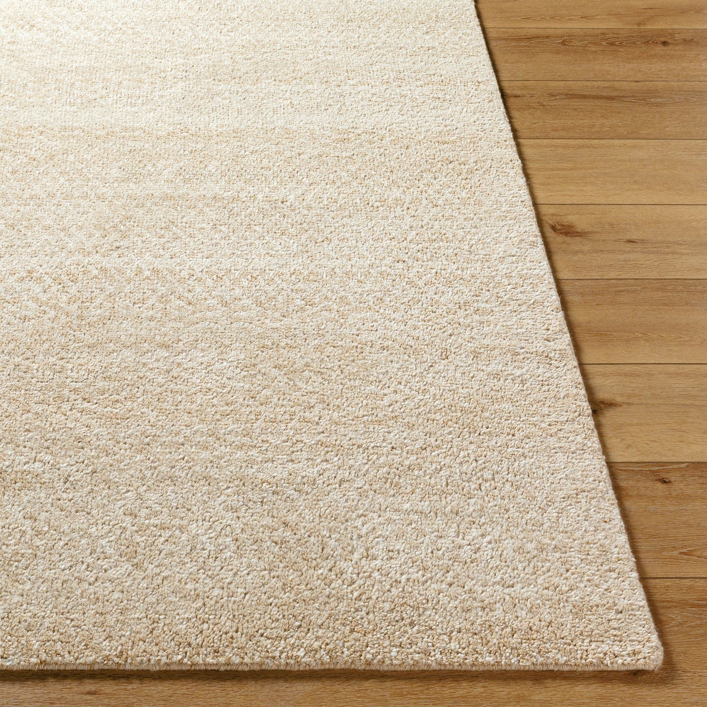 003 SI-2164537,SI-2164538,SI-2164539,SI-2164540,SI-2164541 | Closeup | Hoffenheim Rug - 529129 by Surya in beige, sandstone, ivory. Made from wool, nylon in a unique style.