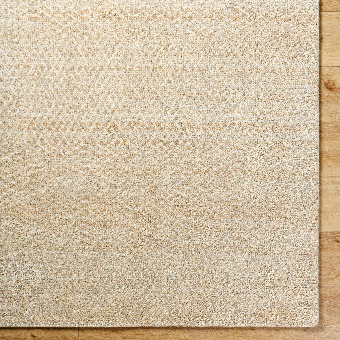 006 SI-2164537,SI-2164538,SI-2164539,SI-2164540,SI-2164541 | Closeup | Hoffenheim Rug - 529129 by Surya in beige, sandstone, ivory. Made from wool, nylon in a unique style.