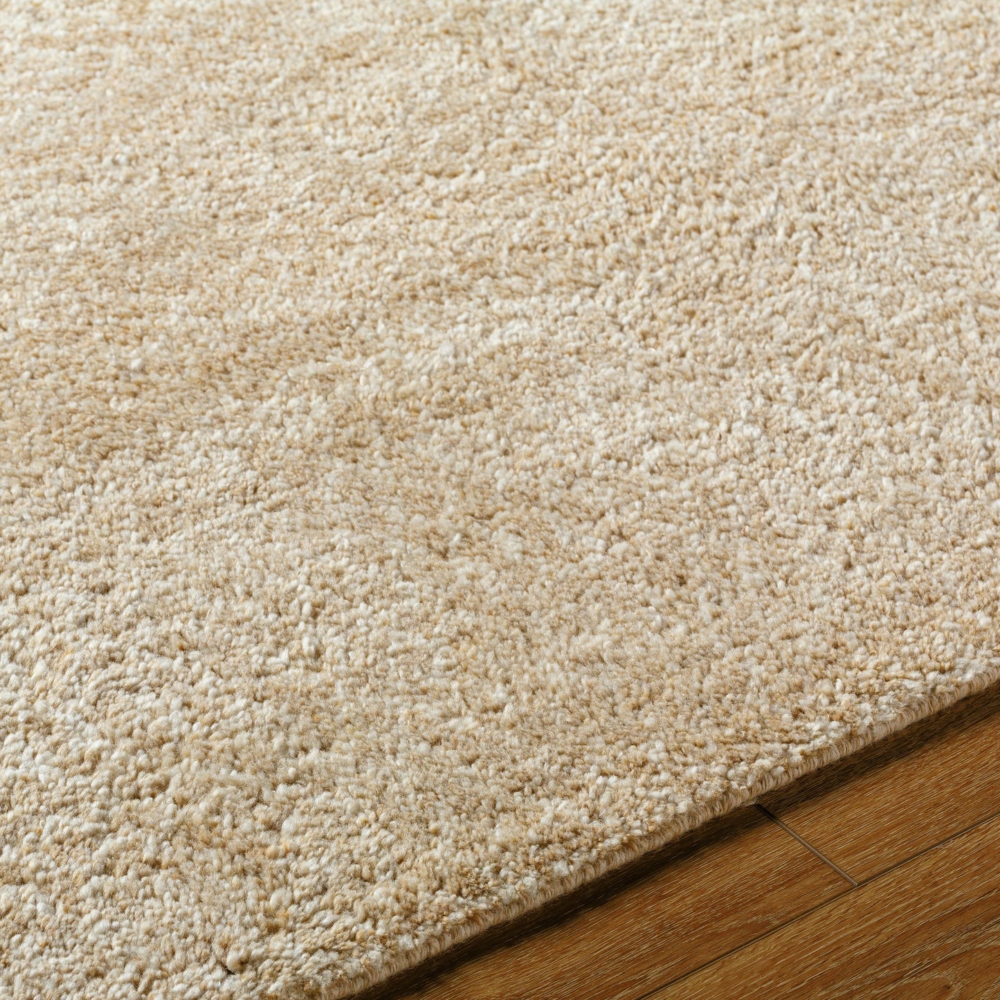 004 SI-2164537,SI-2164538,SI-2164539,SI-2164540,SI-2164541 | Closeup | Hoffenheim Rug - 529129 by Surya in beige, sandstone, ivory. Made from wool, nylon in a unique style.