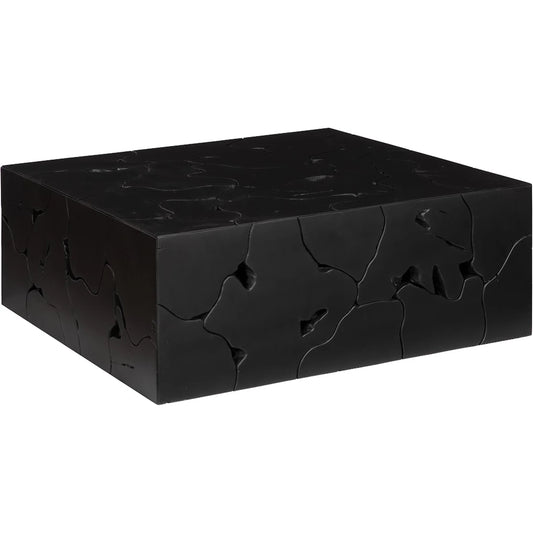 Teak Slice Square Coffee Table by Phillips Collection. Made from unique in a eclectic & global style.