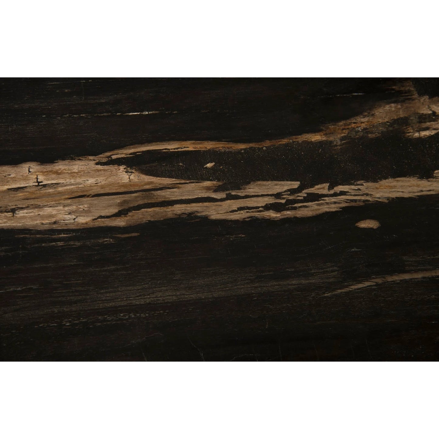 003 SI-1790239 | Closeup | Petrified Wood Side Table by Phillips Collection in black, silver and natural, silver. Made from petrified wood metal in a transitional style.