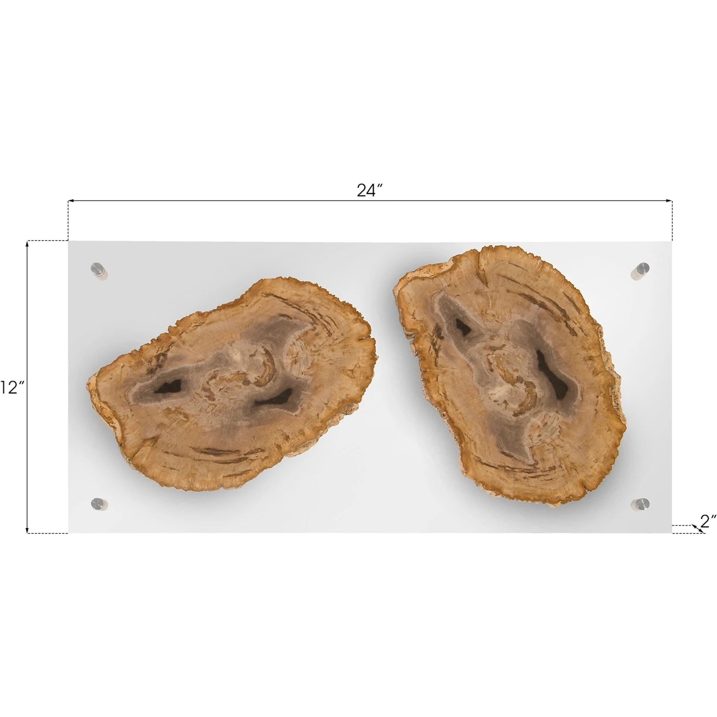 008 SR-820377 | Additional Silo | Floating Petrified Double Slice Wall Art by Phillips Collection in beige, black. Made from petrified wood in a modern style.
