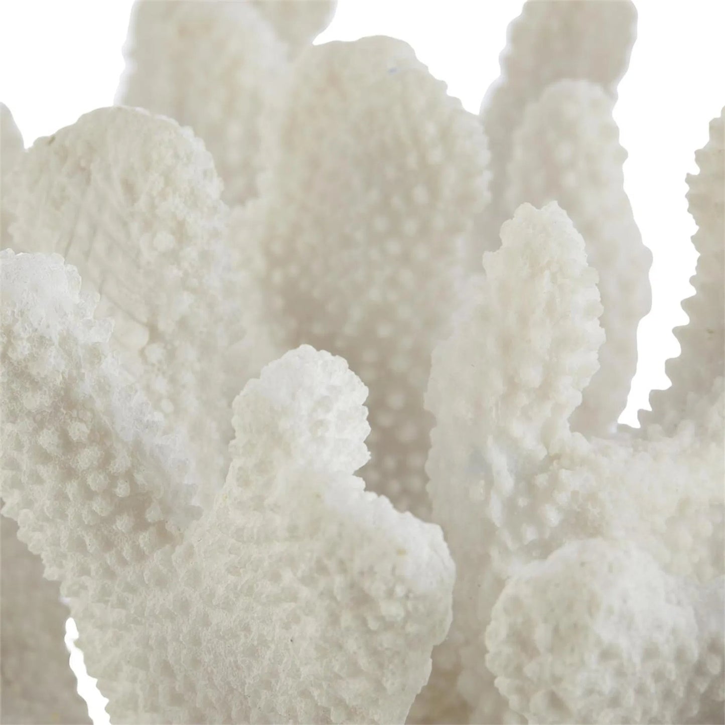 002 SI-2629177 | Unknown | Coral Sculpture on Crystal by John-Richard. Made from unique in a unique style.