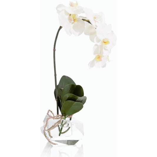 Real Touch Orchid by John-Richard. Made from unique in a modern style.