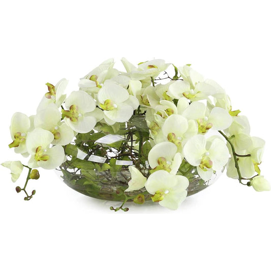 Enchanted Orchids by John-Richard in white, green, clear. Made from green phalaenopsis orchids, glass, green leaf vines, faux water in a transitional style.