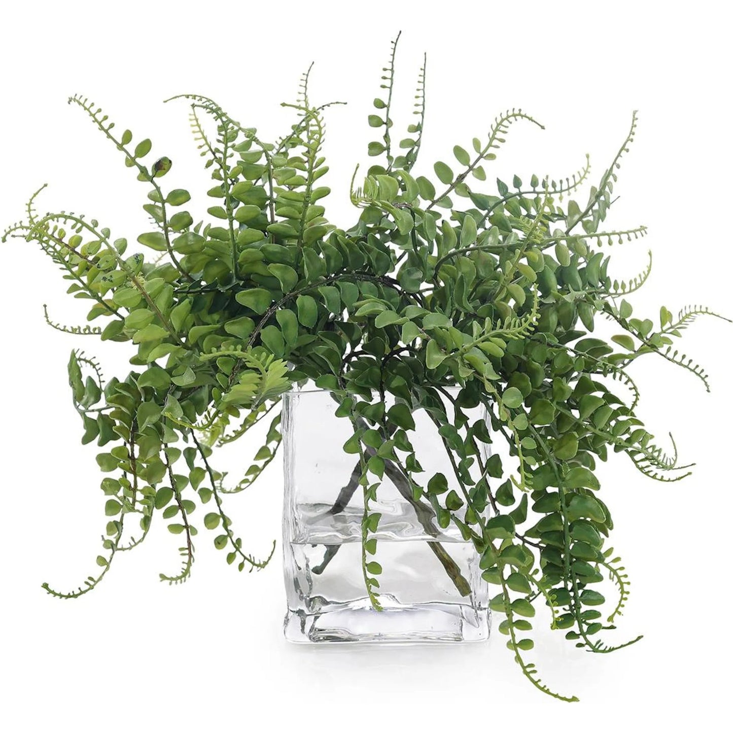 000 SI-2629385 | Primary Silo | Miniature Forest Fern by John-Richard. Made from unique in a unique style.