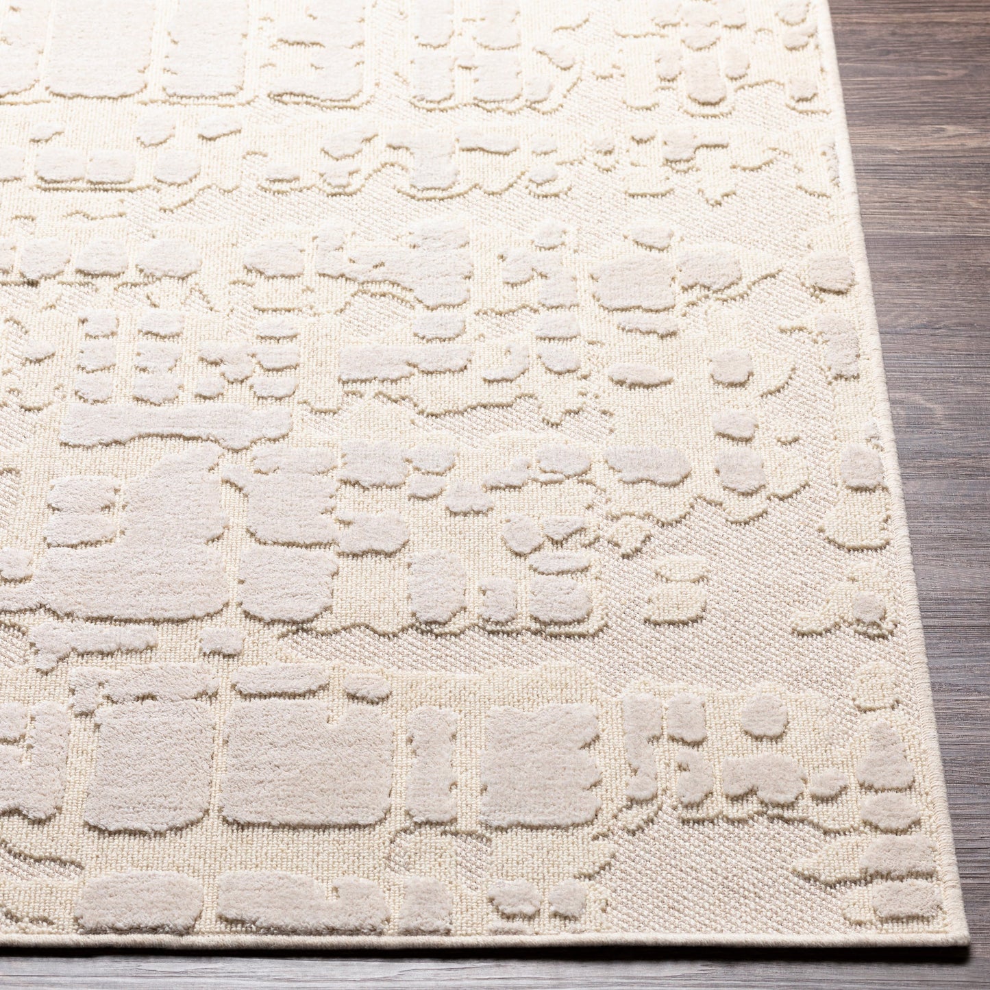 005 SI-1884256,SI-1884257 | Closeup | Kingston Rug - 29822 by Livabliss in cream, light beige. Made from 51% viscose, 49% wool in a unique style.