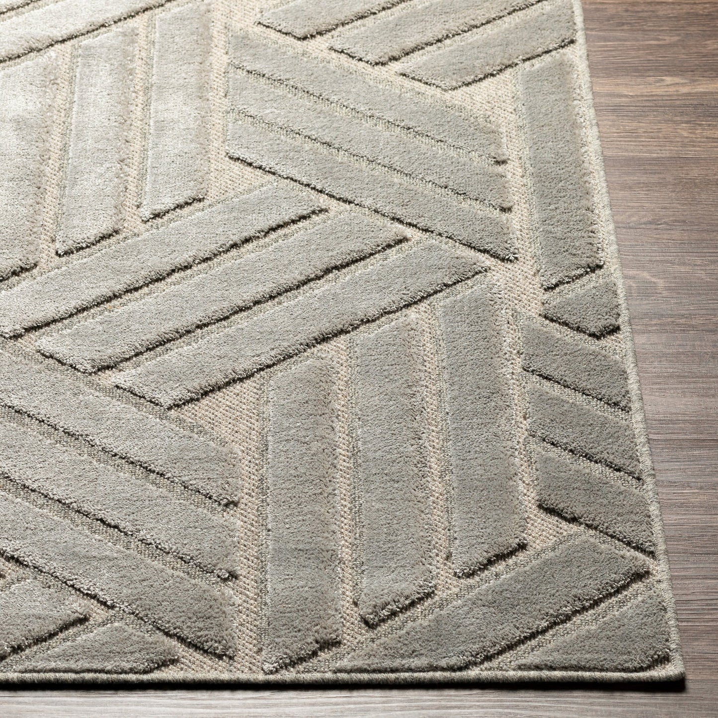 004 SI-1884265,SI-1884269 | Closeup | Kingston Rug - 29824 by Livabliss in gray, medium gray. Made from 51% viscose, 49% wool in a unique style.