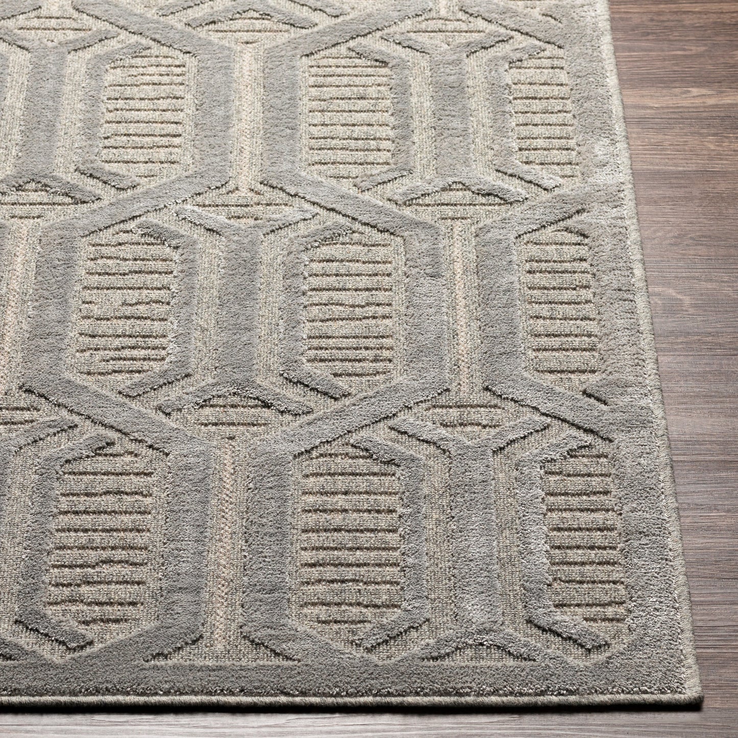 004 SI-1884275,SI-1884279 | Closeup | Kingston Rug - 29826 by Livabliss in gray, medium gray. Made from 51% viscose, 49% wool in a unique style.