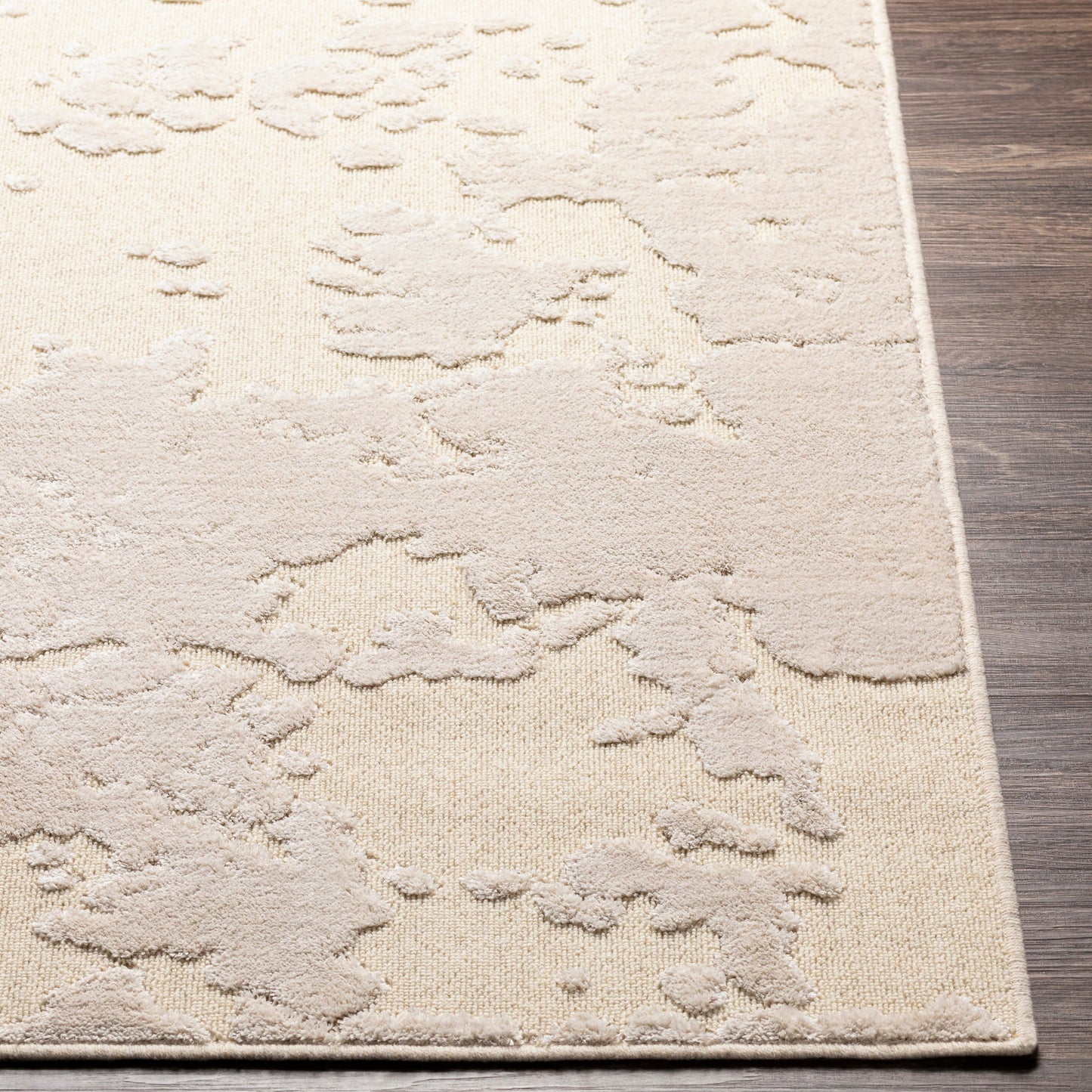 004 SI-1884310 | Closeup | Kingston Rug - 29830 by Livabliss in cream, light beige. Made from 51% viscose, 49% wool in a unique style.