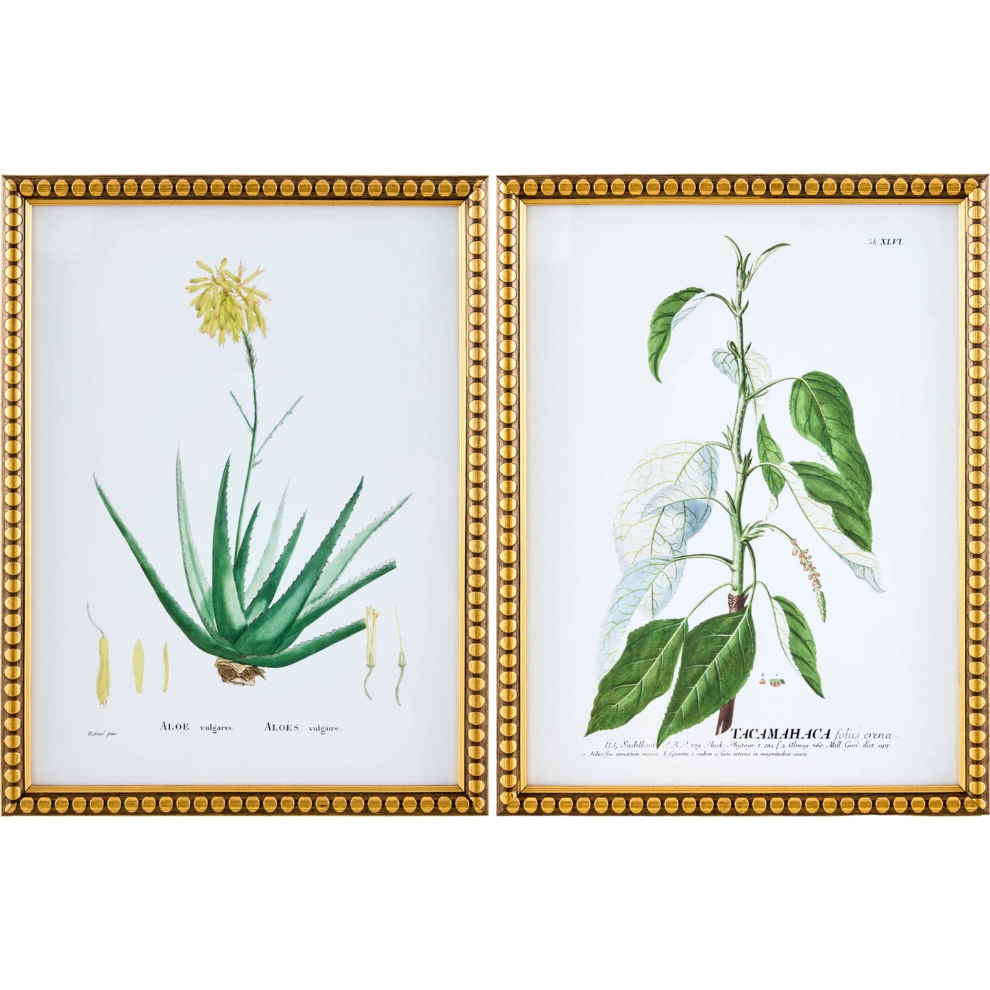 001 SI-2530606 | Primary Silo | Midsummer Framed Art (Set of 2) by Livabliss in green and matte, natural. Made from canvas, polystyrene in a unique style.