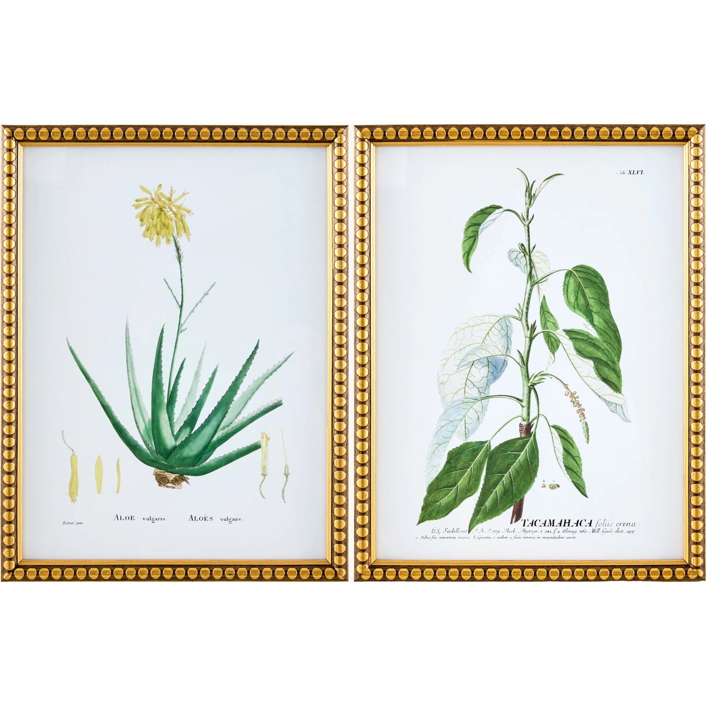 001 SI-2530606 | Primary Silo | Midsummer Framed Art (Set of 2) by Livabliss in green and matte, natural. Made from canvas, polystyrene in a unique style.