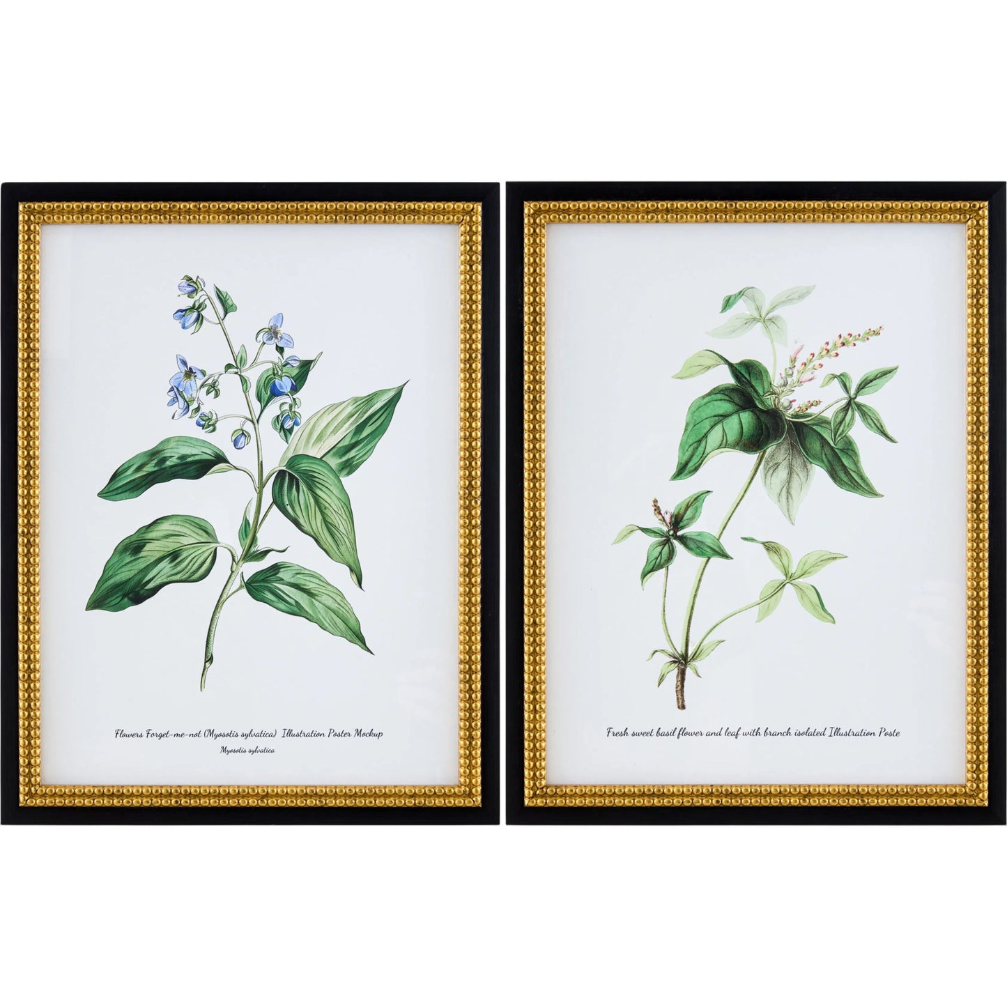 001 SI-2530607 | Primary Silo | Midsummer Framed Art (Set of 2) by Livabliss in green and matte, natural. Made from canvas, polystyrene in a unique style.