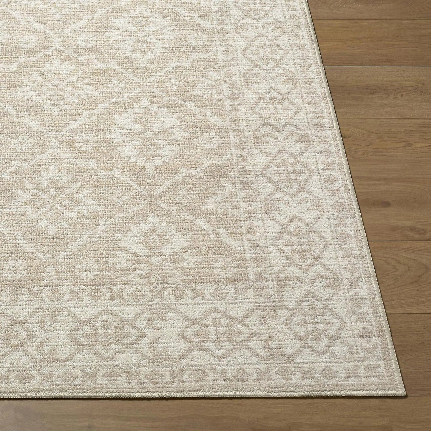 008 SI-2448261,SI-2448262,SI-2448263,SI-2448264,SI-2448265,SI-2448266 | Closeup | Aram NBAR-2303 Rug by Nabela Noor x Livabliss. Made from polyester in a unique style.