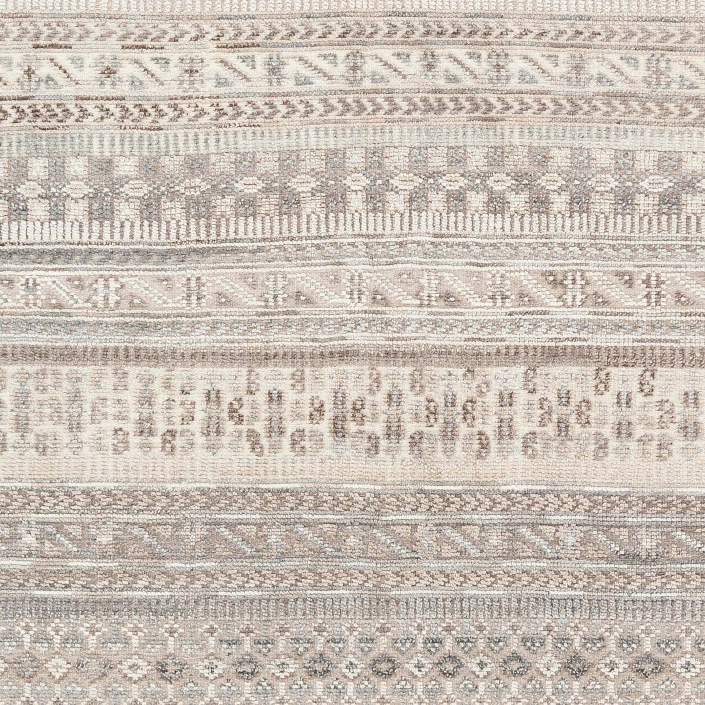 010 SI-1887385,SI-1887386,SI-1887387,SI-1887388,SI-1887389,SI-1887390 | Closeup | Nobility NBI-2305 Rug by Surya. Made from unique in a unique style.