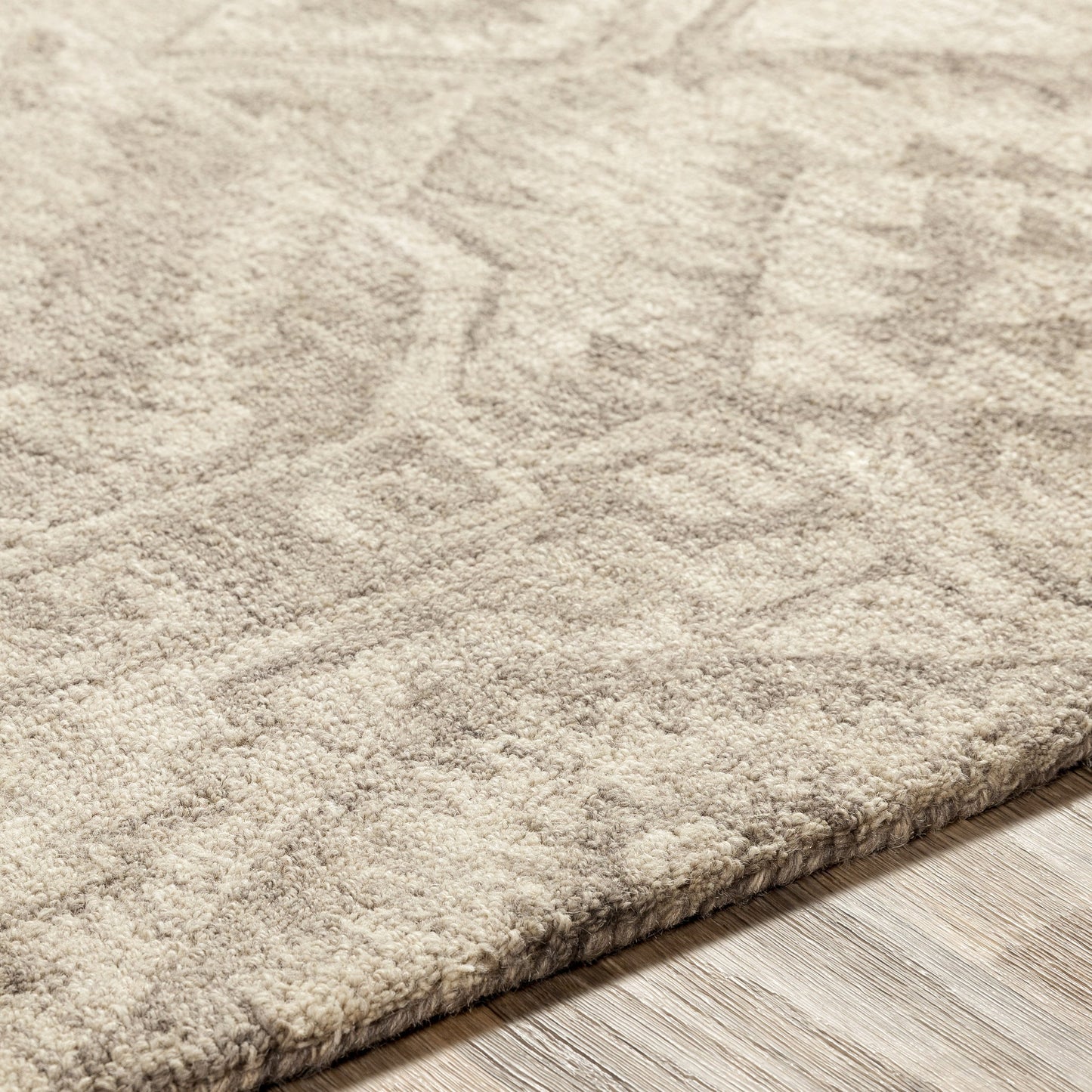 011 SR-755123 | Closeup | Newcastle Rug - 23667 by Surya. Made from 100% wool in a unique style.
