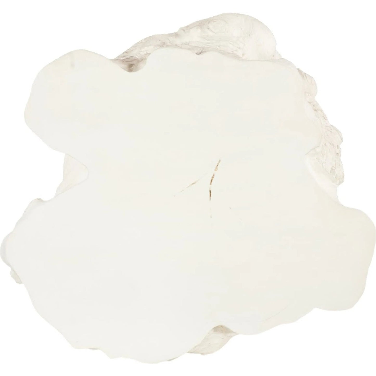 004 SI-2445384 | Additional Silo | Log Side Table by Phillips Collection in white and faux bleached. Made from resin in a unique style.