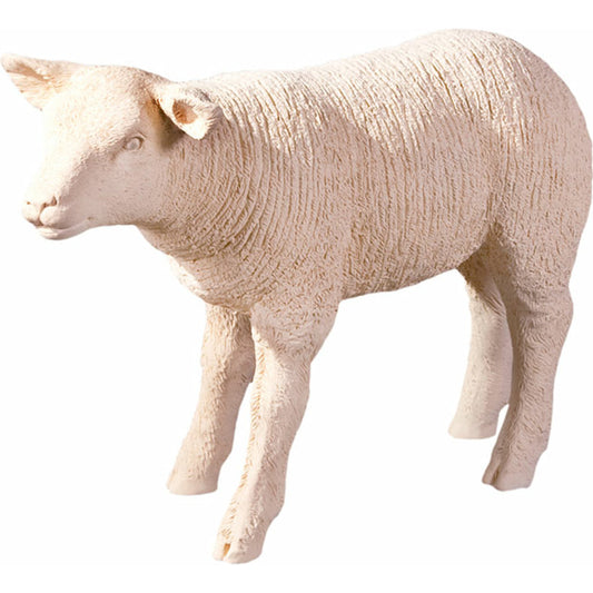Texelaar Sheep by Phillips Collection in cream. Made from resin in a cottage & farmhouse style.
