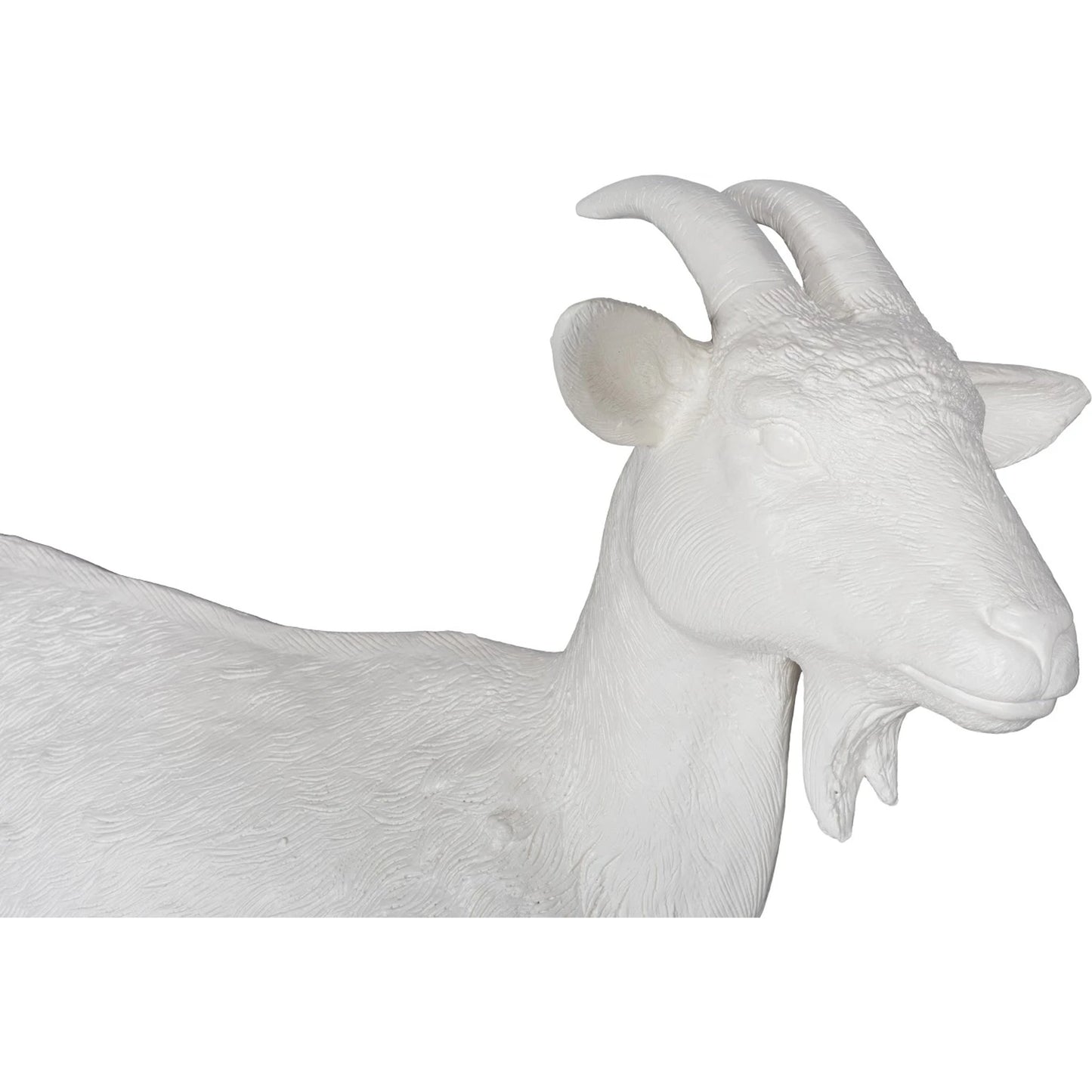 003 SI-2065454 | Closeup | Goat Sculpture by Phillips Collection in off white. Made from resin in a modern style.