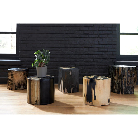 Cast Petrified Patterned Round Wood Stool, Resin by Phillips Collection in natural and patterned round. Made from resin in a eclectic & global style.