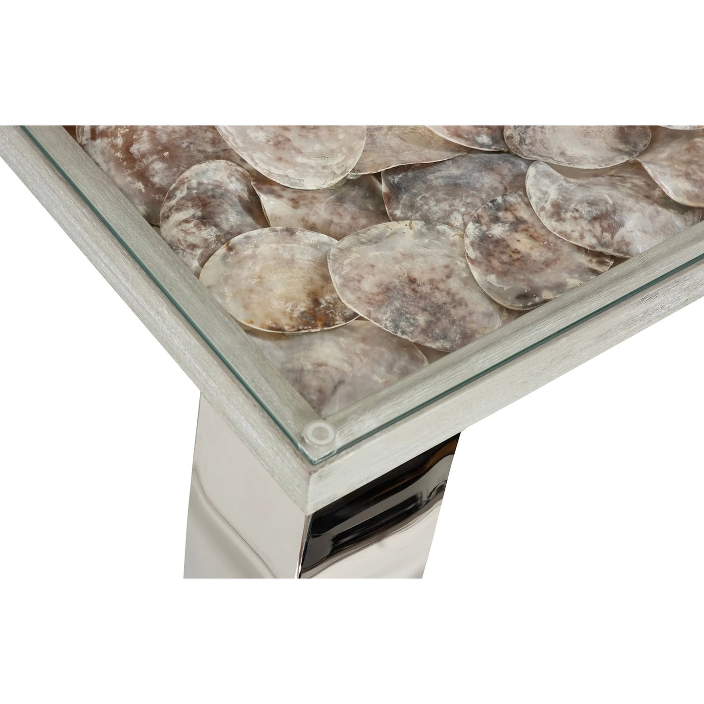 008 SR-820888 | Closeup | Shell Coffee Table by Phillips Collection. Made from shell in a modern style.