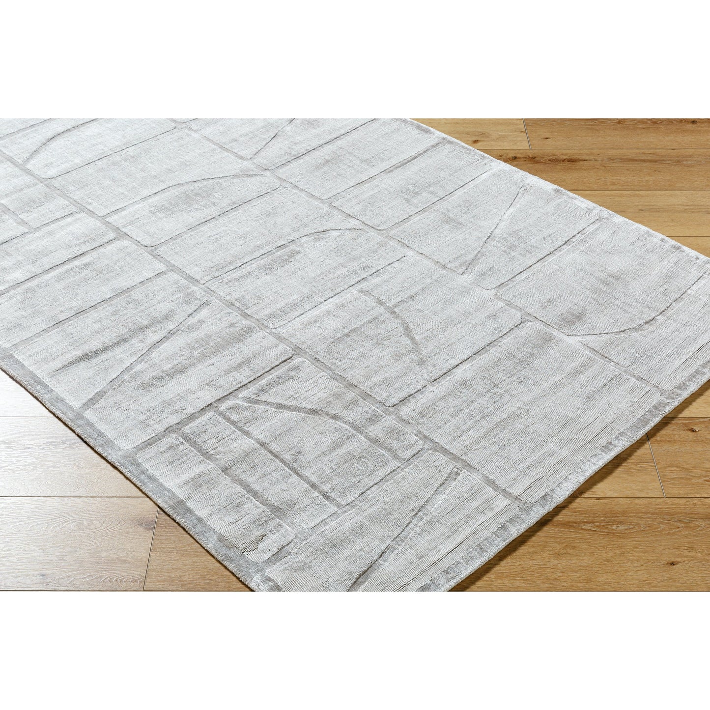 005 SI-2163256,SI-2163257,SI-2163258,SI-2163259,SI-2163260,SI-2163261 | Closeup | Pier Rug - 484735 by Surya in light silver, slate, silver. Made from viscose in a unique style.