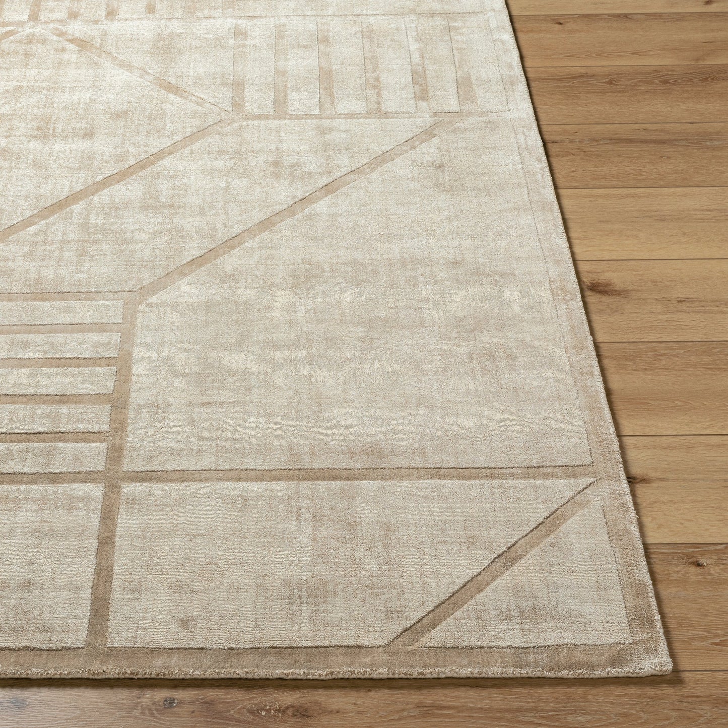003 SI-2163268,SI-2163269,SI-2163270,SI-2163271,SI-2163272,SI-2163273 | Closeup | Pier Rug - 484757 by Surya in beige, sandstone, taupe. Made from viscose in a unique style.